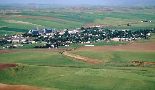 Realtor Company - St John, IN